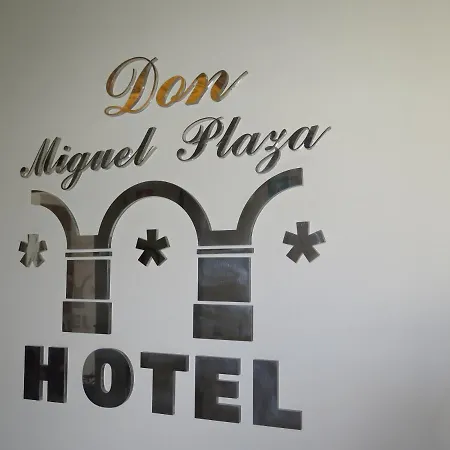 Hotel Don Miguel Plaza 3*